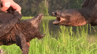 8cb92040effa8eb59f8d330c1ef