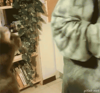 8a81da20bcd0c5d8caa92e6fd11