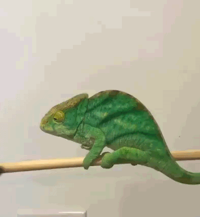 3882f684d70fa2a9d638b9e0cab