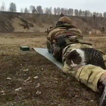 imageыы