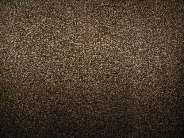 Arpatek_-_iskusstvennyj_zamenitel_kozhi_1