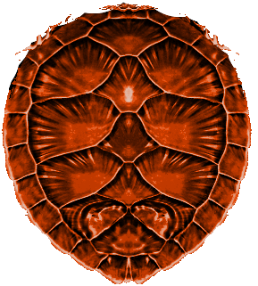 0_184cf1_2fdc1f59_orig