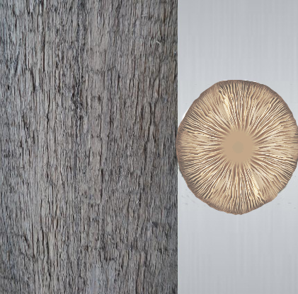 9ee1709afa61b61c926124ce847ce3fe_zpsm39f3xch