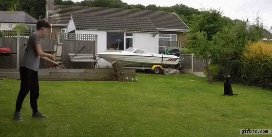 williamtelltrickshotwithdog