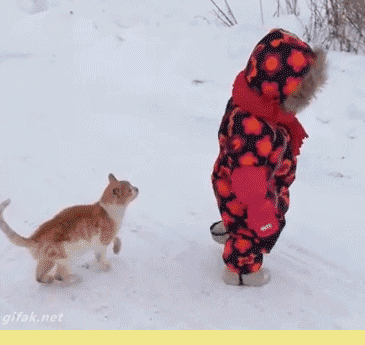 8c88b1a455924d5d2ea2466cdba3b98a