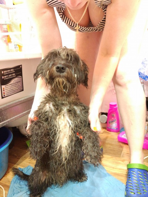 tmp_1871-IMG_20170408_175424_HHT1827353861