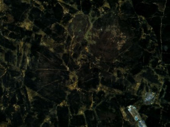 information_items_159