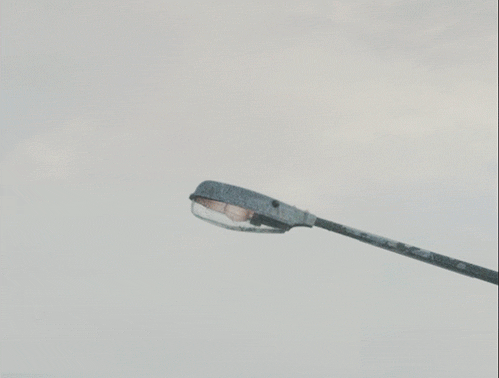 Чайка Тесла