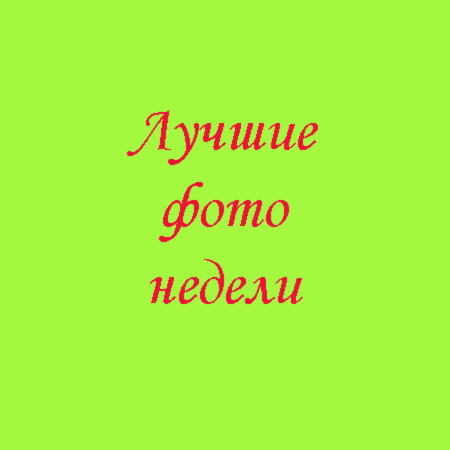 Деревенские пейзажи