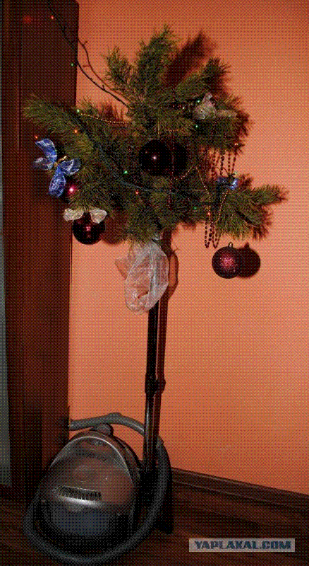 Пылесосоёлка