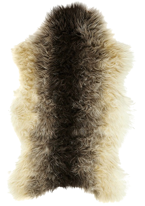 557e84b4b7e6751585b3fddce97b5c32