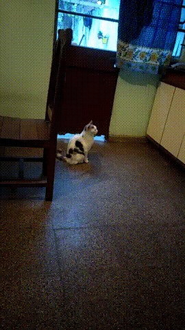 Прицеливание