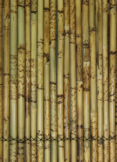 1238579891_bamboo0004_2_l