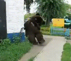 1421935840_1378043755_yapfiles.ru