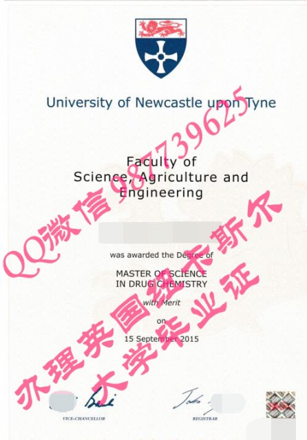 fake diploma Q /Wechat 987739625 Newcastle University transcript certificate bachelor degree master 