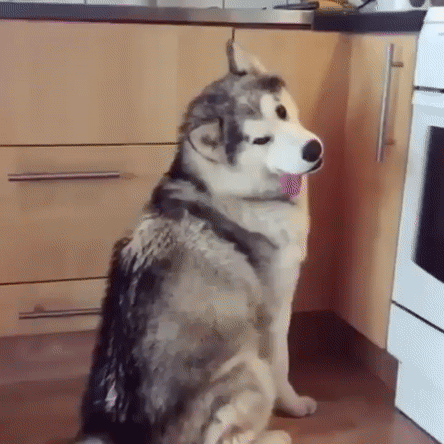 Издеваетесь?