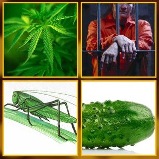 1417781017_screen322x572