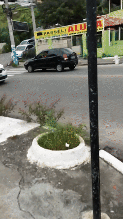 Ярость в Бразилии