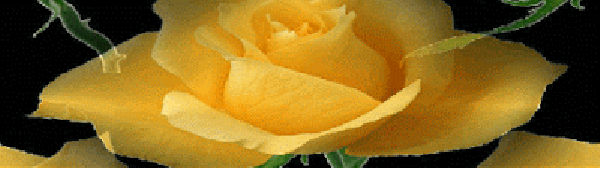 oie_28144916vgTJfYXm