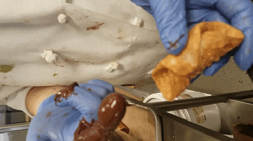 84741215035832_500.fingering_a_cannoli