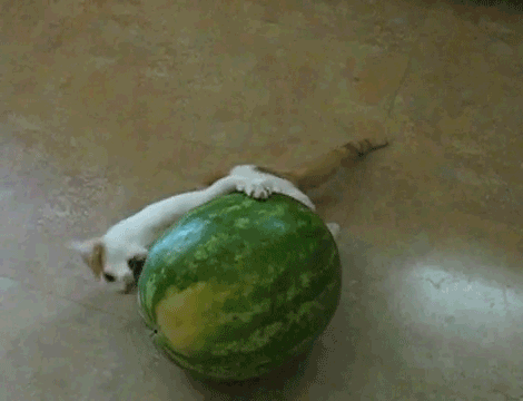 1492077677_17