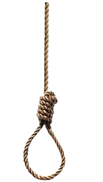 56817d4f0b3da151e9d17cc6