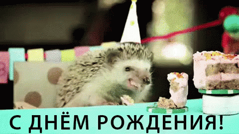 ёжик