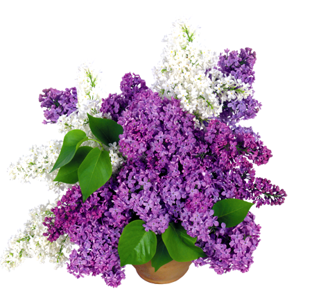 для подарка
