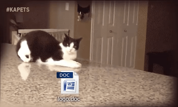 cat-logo