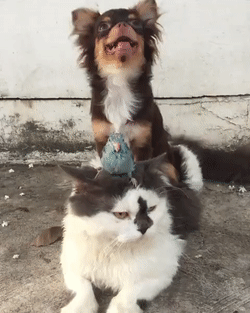 Полный комплект