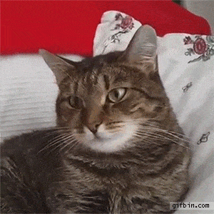 4bbcb50bba03bcff6ba870581e7