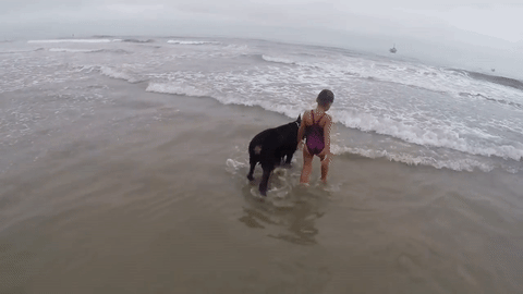 3510048f668149868a59843cd94