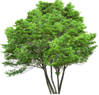 0_badae_215f4e42_orig
