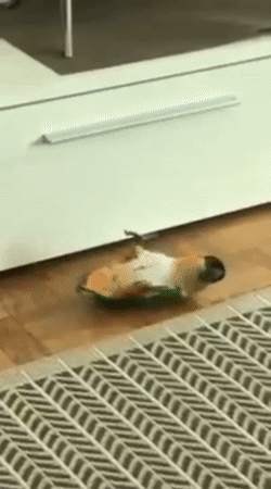 Майкл Джексон