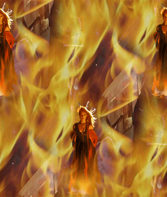 14 В пламени инквизиции