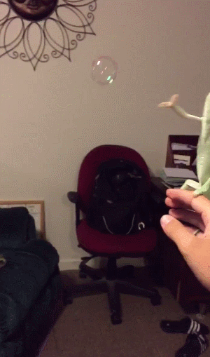 Впал в детство