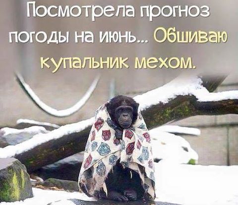 названия (17)