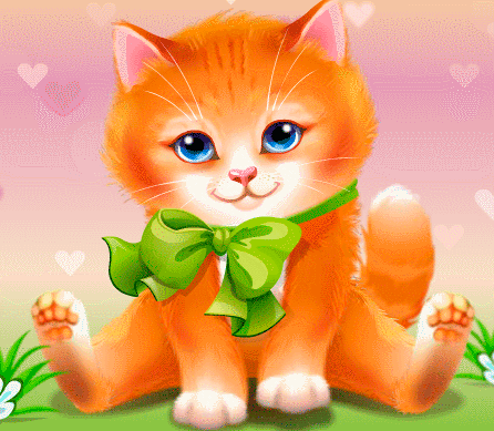 kotikvcvet_2590802_263756261