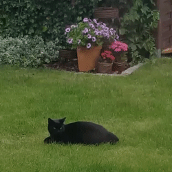 Сам с собой