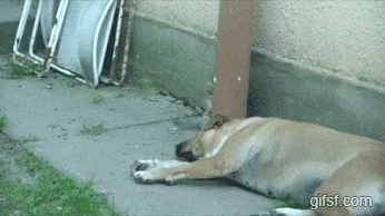 Познание жизни