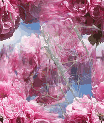 47 Девочка и маки