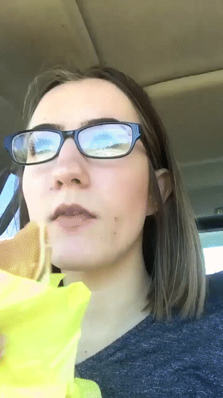 -собакен-девушка-спиздил-3831327