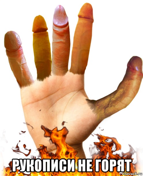 1c8d0251-e1cc-49e4-aa63-08d72d5266ed