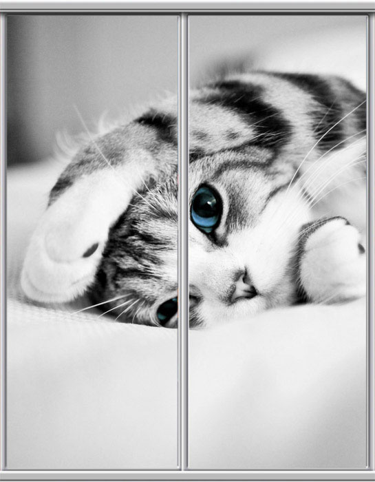 e2f2e2cc726012c7434ef0e76307884c