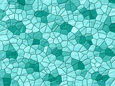 ca0892c5905ea52caec6bf31f5b937d6