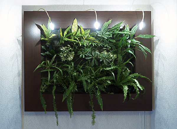 7317ecd5f5e5b524d6599da2b0effc6d