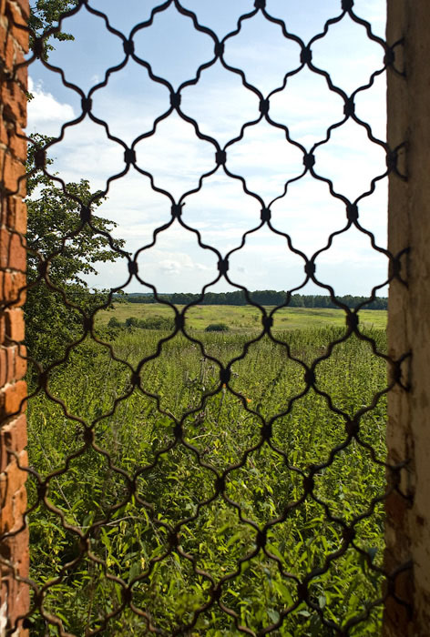 kopytchataya-reshyotka-g