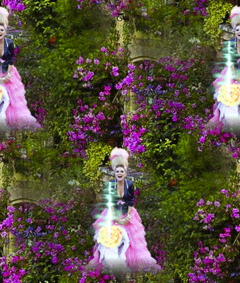 74 Жёлтая роза