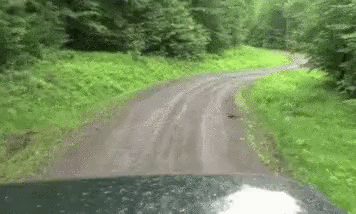 Yeti