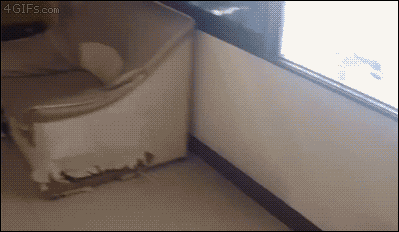 584b2429abecc7aafa95ab5abf7e056e56d4ea4f